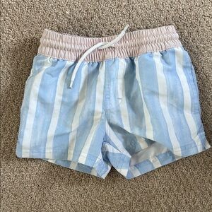 Striped Blue and White Swim Trunks